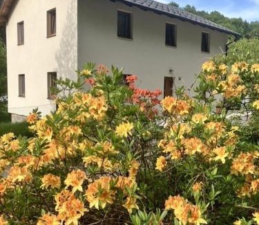 Radvanovice Apartment | Pet and Child Friendly Stay at Ubytováni V Údolí