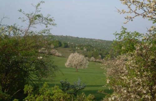 Polichno House | Cozy Stay at Ubytovanie na Včelej Farme with Pets Welcome