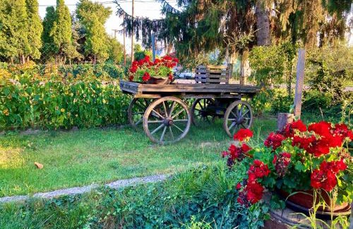 Male Trakany House | Pet-Friendly Retreat at Ubytovanie u Aranky - 10/10 Score!