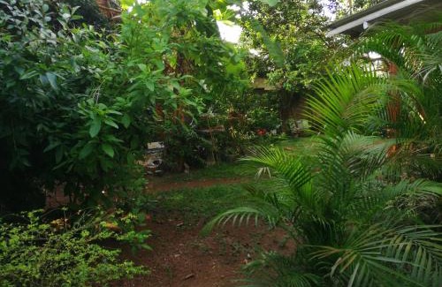 Battaramulla House | Discover Udara's Colombo Rooms: Budget-Friendly Escape
