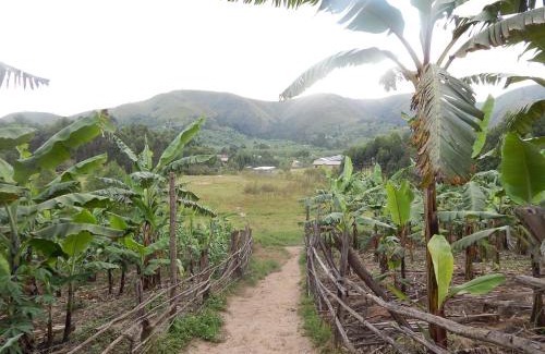 Ntungamo Cabin | Discover Uganda Lodge: Pet-Friendly Stay with Breakfast