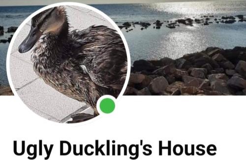 Santa Marinella Apartment | Ugly Duckling's House