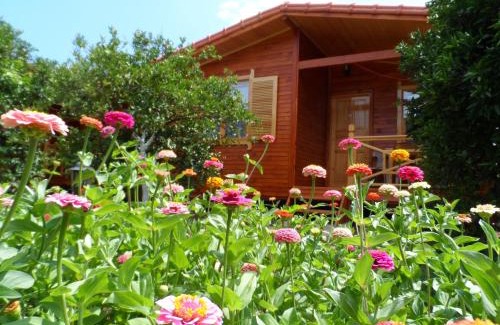 Cirali House | Cozy Ugur Pansiyon Bungalows with Oceanfront Views