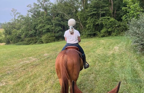 Batesville House | Unforgettable Equestrian Getaway in the Blue Ridge Mountains