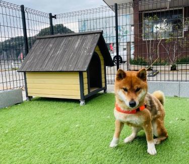 Kamogawa House | Pet-Friendly Uhome Kamogawa: Family Retreat with 9/10 Rating