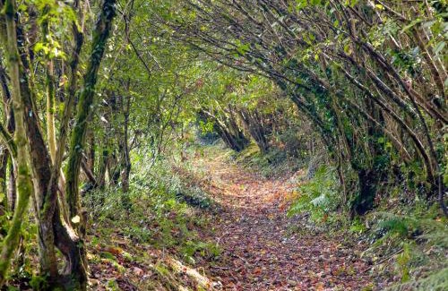 Sticklepath House | Family-Friendly Escape at The Threshing Barn with Pool