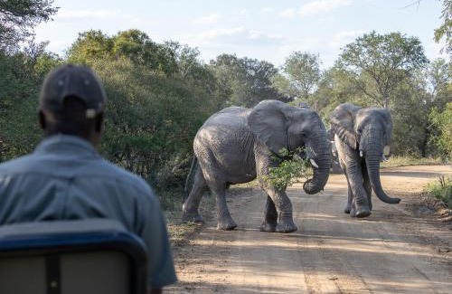 Thorny Bush Game Reserve Villa | Experience Ukanyi Villa: 4-Star Oceanfront Bliss