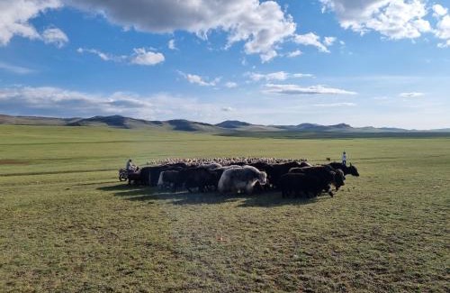Ulaanbaatar House | Family-Friendly Ulaanbaatar Ger Camp with Pet Access