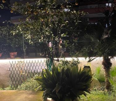 Zona XIX Casal Morena Villa | UMA Home
