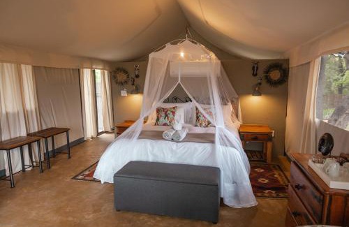Kruger National Park Other | Experience Umkumbe Bush Lodge: Top-Rated Tented Camp Stay