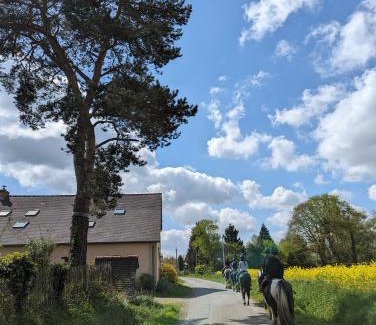 Cardroc House | Experience Floral Bliss in a Family-Friendly Retreat