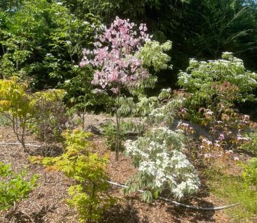 Samois-sur-Seine House | Discover Un Jardin en Forêt: Family-Friendly Retreat
