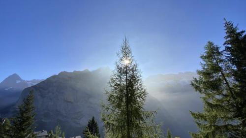 Lauenen Bei Gstaad Ski Chalet | Discover Un Nid au Paradis: Oceanfront Family Retreat