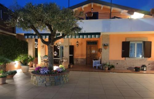 Castellabate Apartment | Experience Una Fuga Inaspettata: Guest Rated 9.8/10!