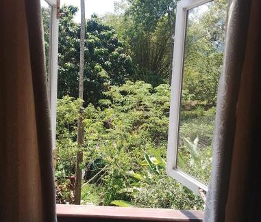 Unawatuna Cabin | Top-Rated Unawatuna Backpacker Lodge with Ocean Views