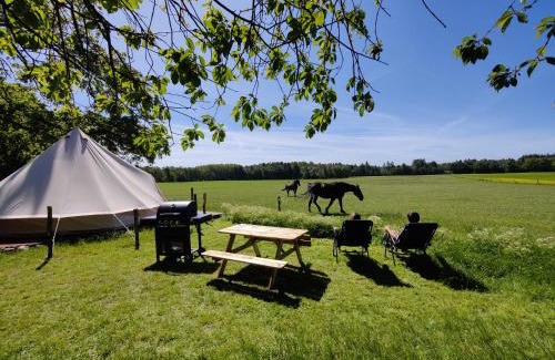 Østermarie Hotel | Experience Under Canvas Bornholm with Oceanfront Views