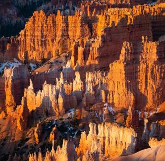 Southwestern Utah - Bryce Canyon Other | Discover Under Canvas Bryce Canyon: Pet-Friendly Retreat