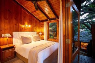 Knysna Resort | Oceanfront Escape at Under Milkwood Resort – 4 Star Retreat