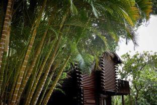 Knysna Resort | Oceanfront Escape at Under Milkwood Resort – 4 Star Retreat