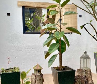 Valencia Apartment | Pet-Friendly Studio Pad in the Heart of Valencia