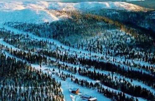 Bjornrike Apartment | Unique Ski-In/Ski-Out Stay in Björnrike - Rated 9.5/10