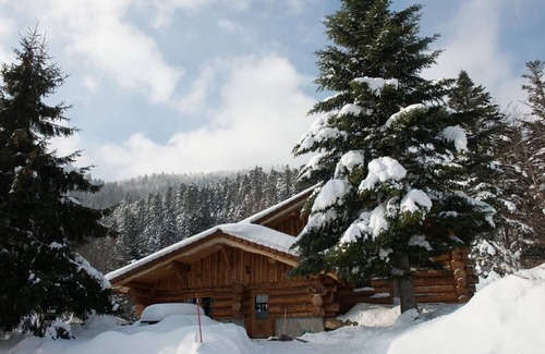 La Bresse Ski Chalet | Chalet Unique à La Bresse: Family-Friendly Retreat Near Slopes