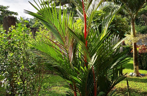 Parrita Apartment | Escape to a Unique Aparthotel Surrounded by Nature