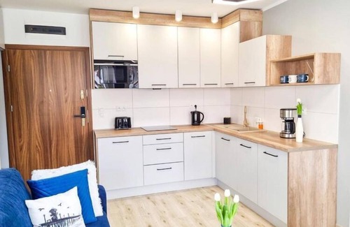 Darlowko Apartment | Charming Apartment with Balcony and Ocean View in Darłówko