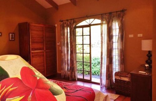 Coyolar House | Discover Unique Architecture with 3 Pools & Free Wi-Fi