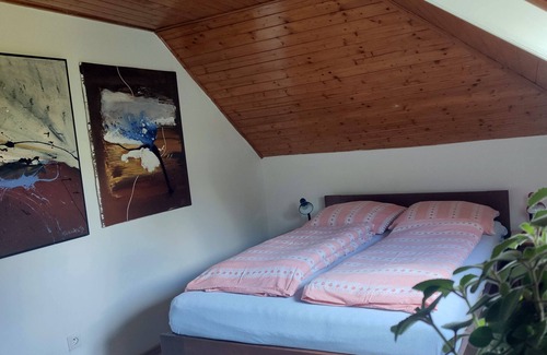 Zlin House | Unique attic with garden, library, bathtub, wifi & free parking