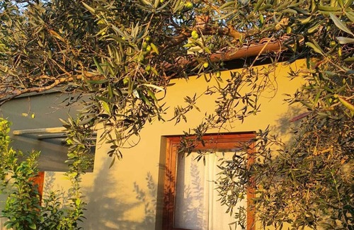 Melizzano Cottage | Charming Countryside Loft Room with Pool Near Naples