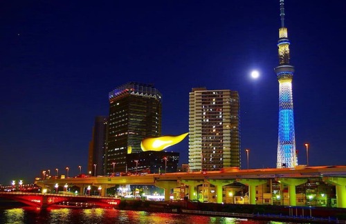 Setagaya House | Discover the Unique House with Family-Friendly Amenities