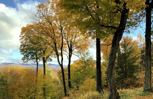 Warren House | Unique Mountainside Retreat Near Sugarbush Ski & Golf