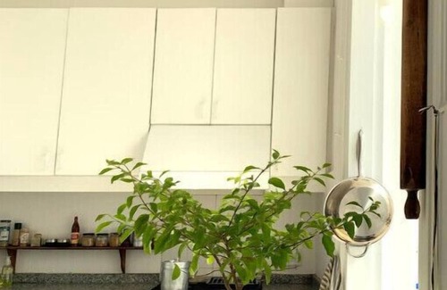 San Telmo Condo | Charming Penthouse Retreat at Plaza Dorrego San Telmo