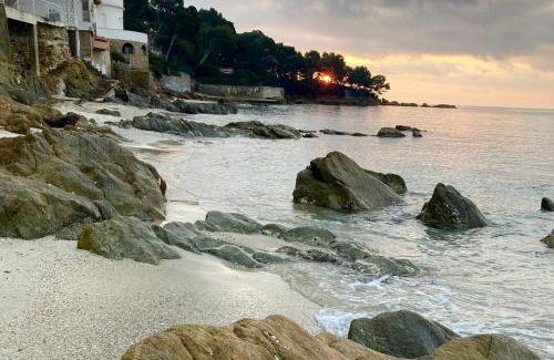 Le Lavandou Apartment | Unique résidence front de mer studio climatisé et jardin