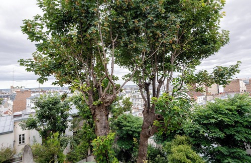 Clignancourt Apartment | Romantic 1Br Apartment with Breathtaking Paris Skyline Views