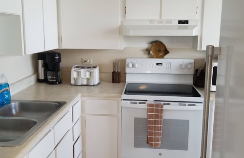 Ocean Grove Terrace House | Oceanfront 2Bd Condo with Private Beach Deck in Ormond