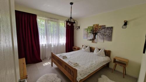 Baia Mare Apartment | University Apartment: Guest Rated 9.8 with Ocean Views