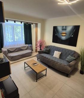 Baia Mare Apartment | University Apartment: Guest Rated 9.8 with Ocean Views