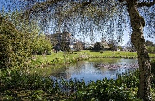 Bath City Centre House | Comfortable University of Bath Guest Accommodation Awaits