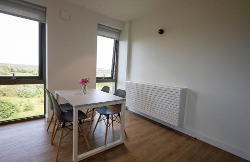 Dangan Apartment | Convenient University of Galway Apartments for Family Stays