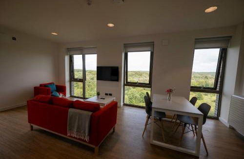 Dangan Apartment | Convenient University of Galway Apartments for Family Stays