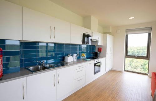 Dangan Apartment | Convenient University of Galway Apartments for Family Stays