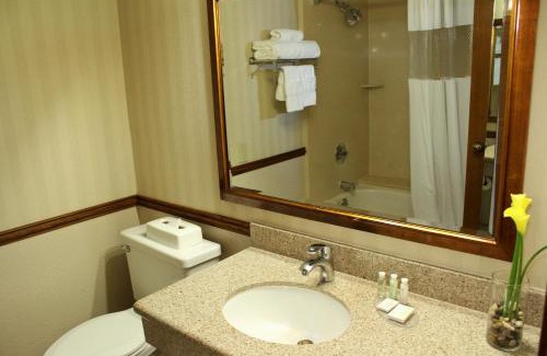 Raisin Hotel | Convenient University Square Hotel: Family & Accessibility Focused