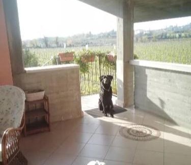Pedemonte Apartment | Discover Valpolicella: 4-Star Hotel, Family & Pet Friendly