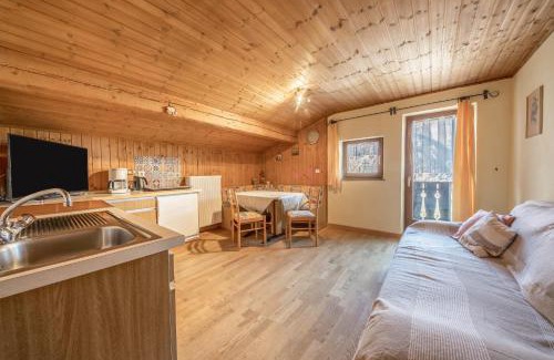 Senales Apartment | Pet-Friendly Untervernatsch Fewo Edelweiss for Families