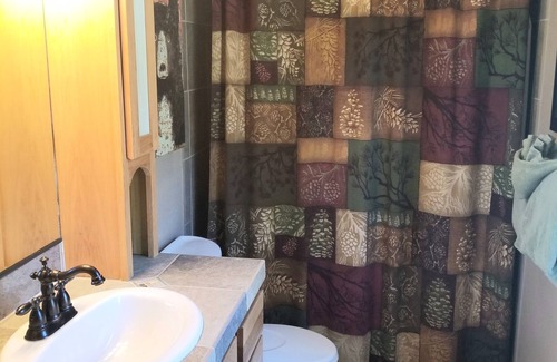 Estes Park Cabin | Inviting Vintage Cabin with Hot Tub and Spectacular Views