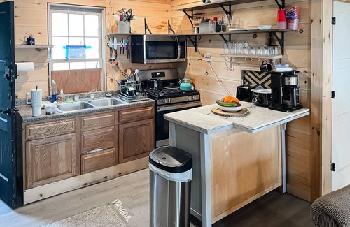 Franklin Cabin | Dog-Friendly Waterfront Cabin with Internet & Lake View