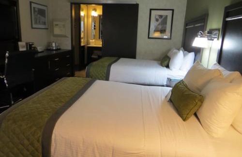 San Jose Hotel | Inviting Wyndham Garden San Jose Airport with Pool & Hot Tub