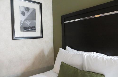 San Jose Hotel | Inviting Wyndham Garden San Jose Airport with Pool & Hot Tub